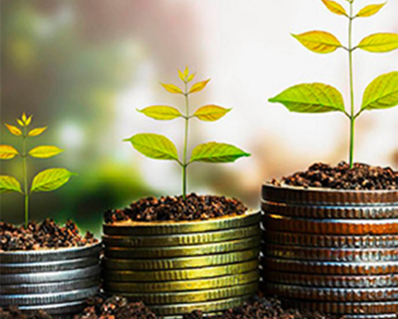 coaching-financas-link
